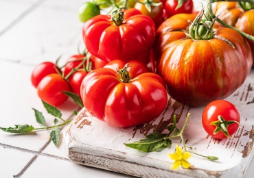 Как правильно выбрать сорта томатов